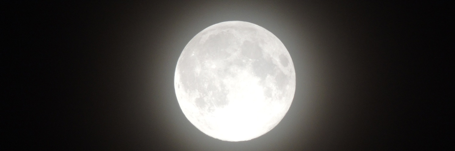 ウルフ🌓シグマの系譜's banner