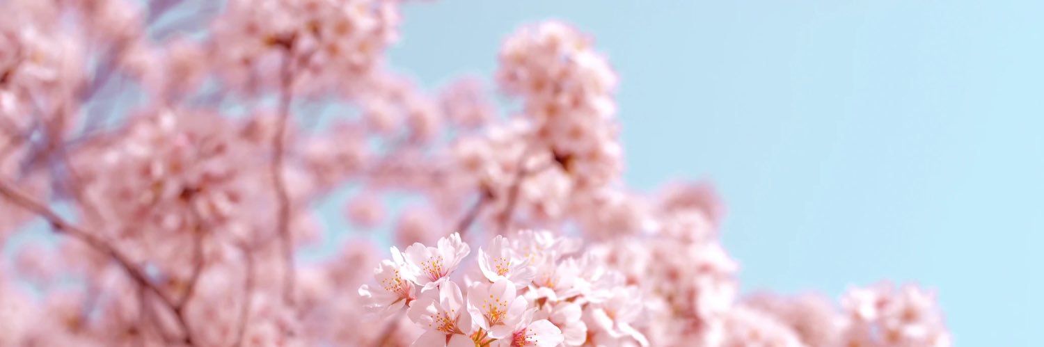 F.S.C. 🌸🔞's banner