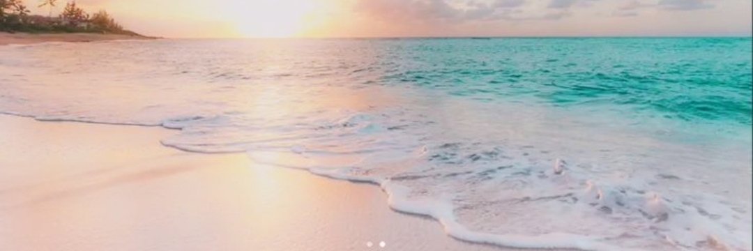 ♡ ᪲᪲᪲ | 𝐍𝐨𝐜𝐭𝐢𝐟𝐚 𝐁𝐫𝐚𝐢𝐧𝐫𝐨𝐭 🏝️'s banner