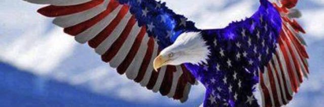 TexasMom1776🇺🇸🩵's banner