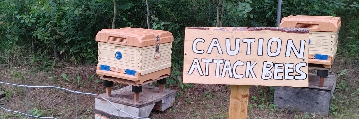 𝔽𝕣𝕖𝕖𝕕𝕠𝕞 ℍ𝕠𝕟𝕖𝕪 🐝's banner