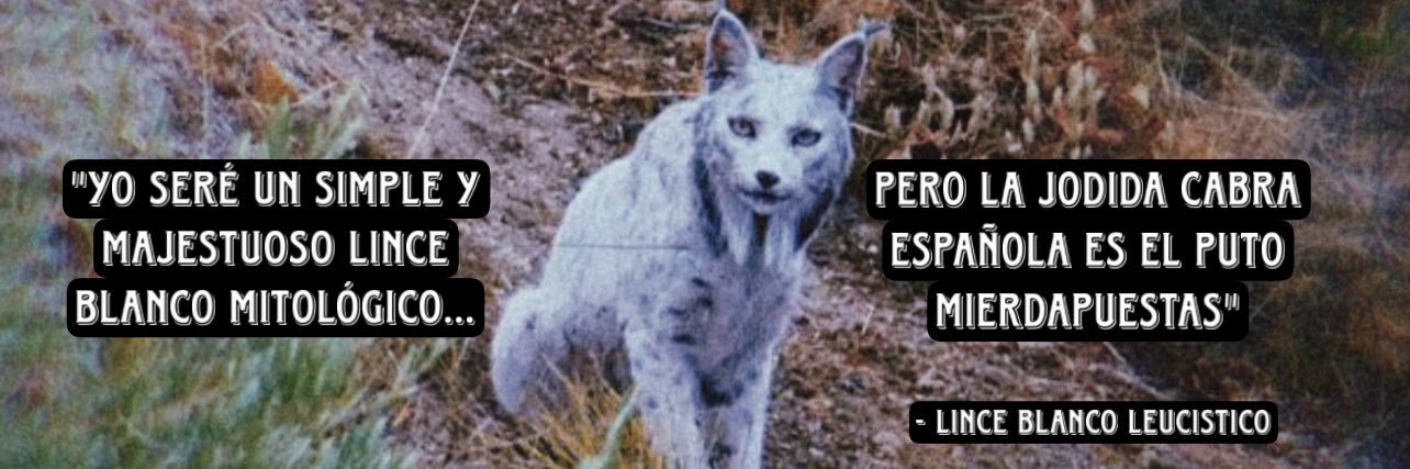 Mierdapuestas™'s banner