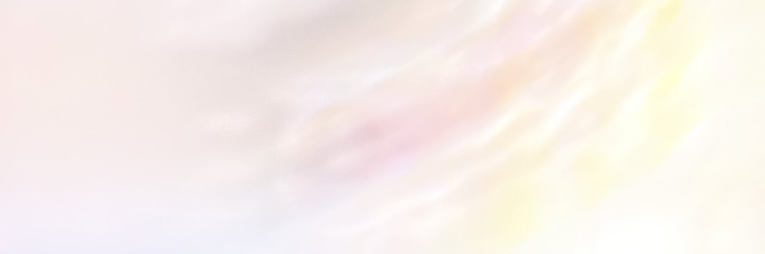 noa's banner