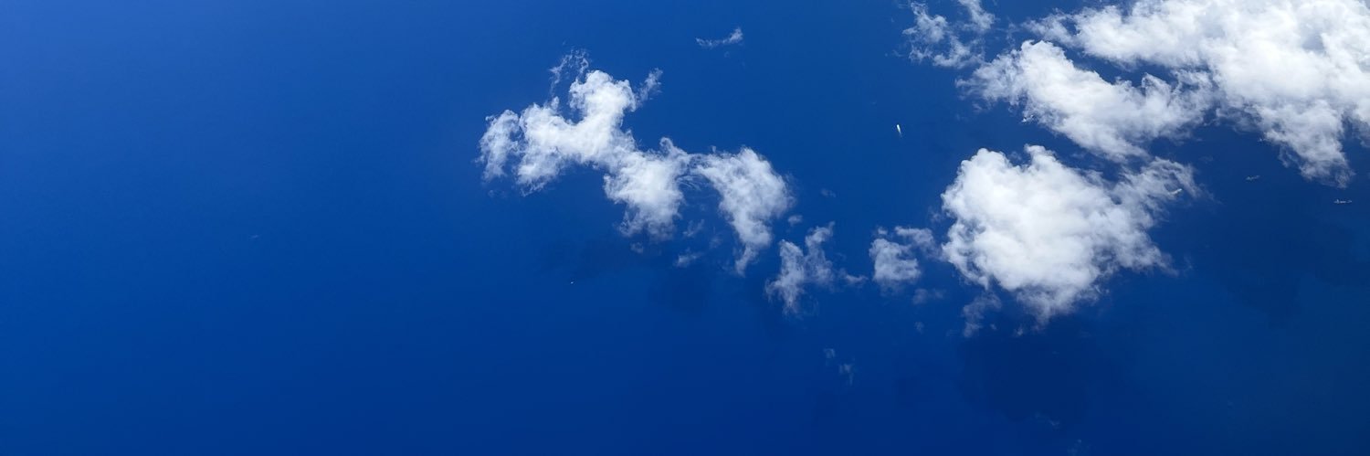 こころだもん's banner