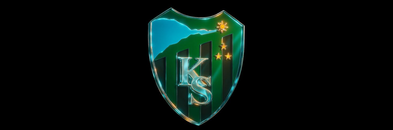 Baron's banner