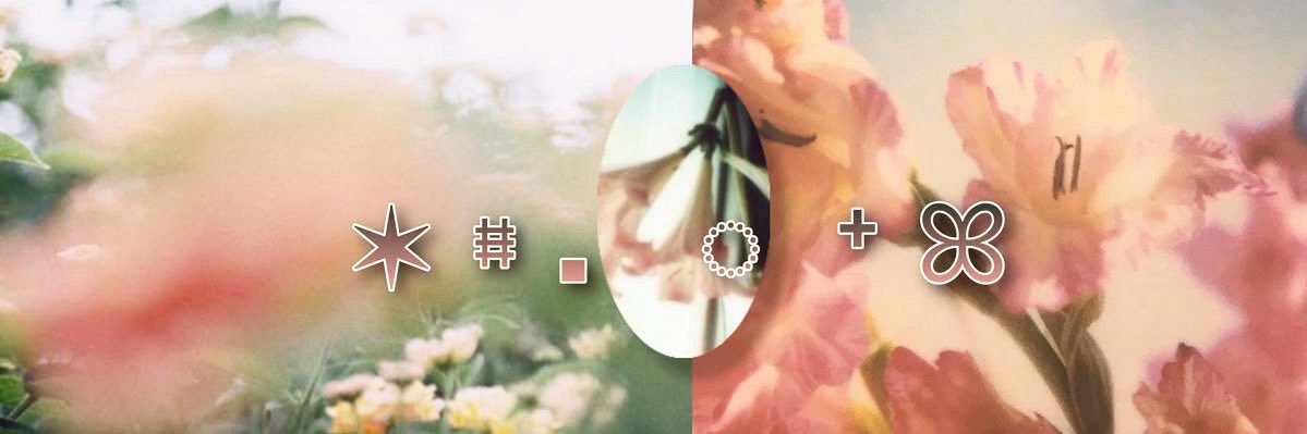 toms/roman ᰔ's banner