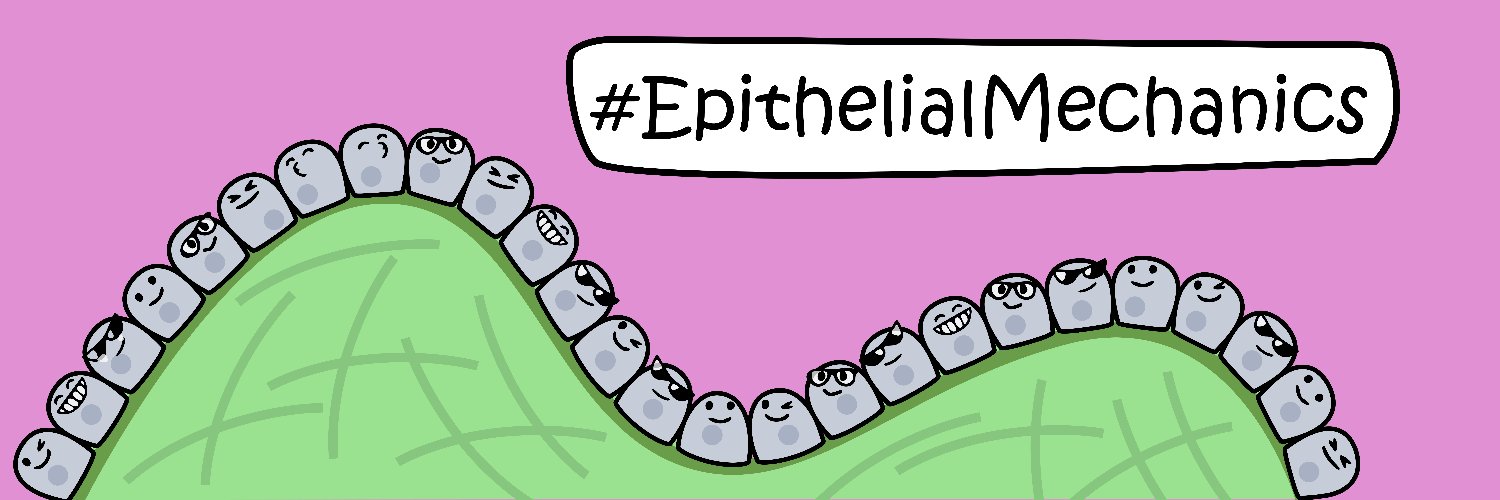 epithelial mechanics fan club's banner