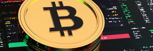 PHUONG_CRYPTO's banner