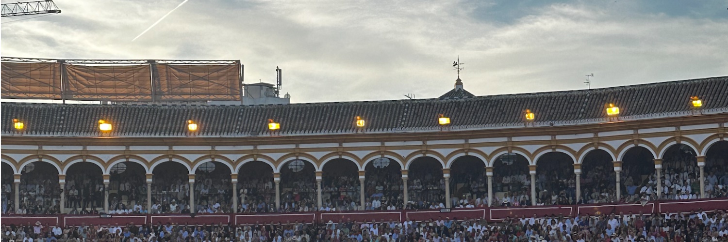 Despaciosidad's banner
