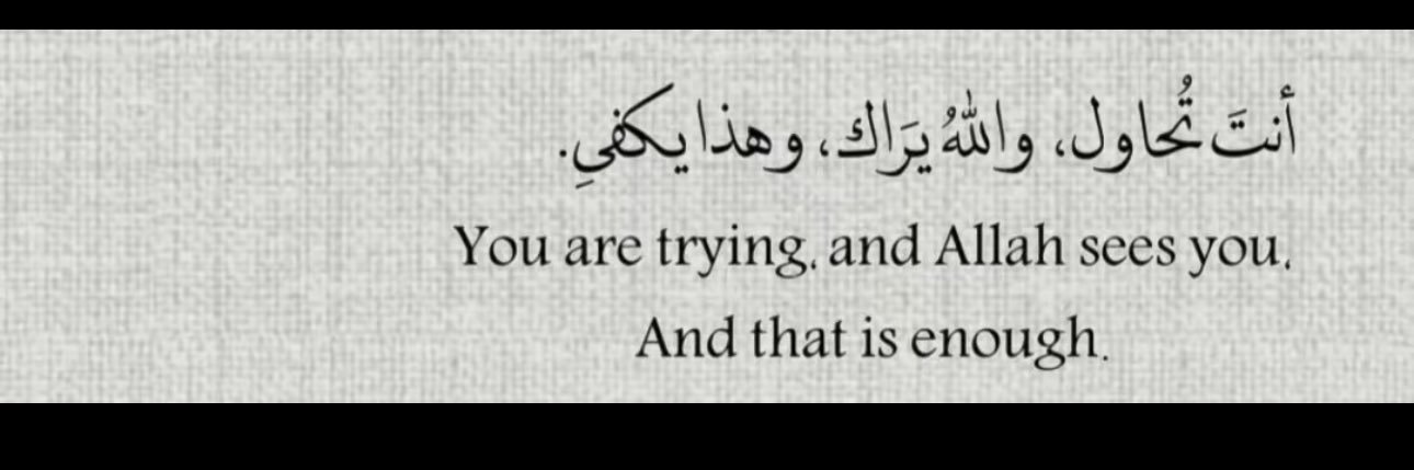 لوسيل🌷.'s banner