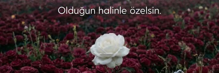 Suzan Kozan's banner