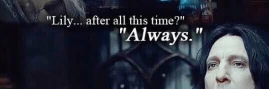 mohamed elfaramawy's banner