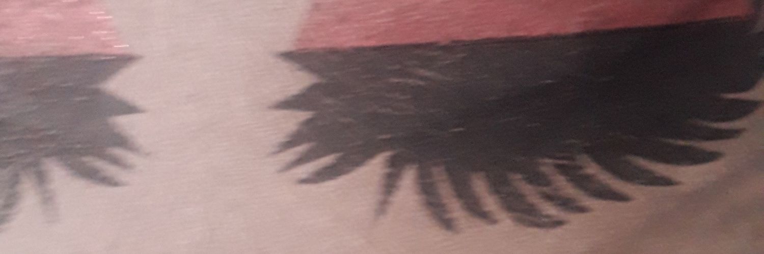 Alev 😘's banner