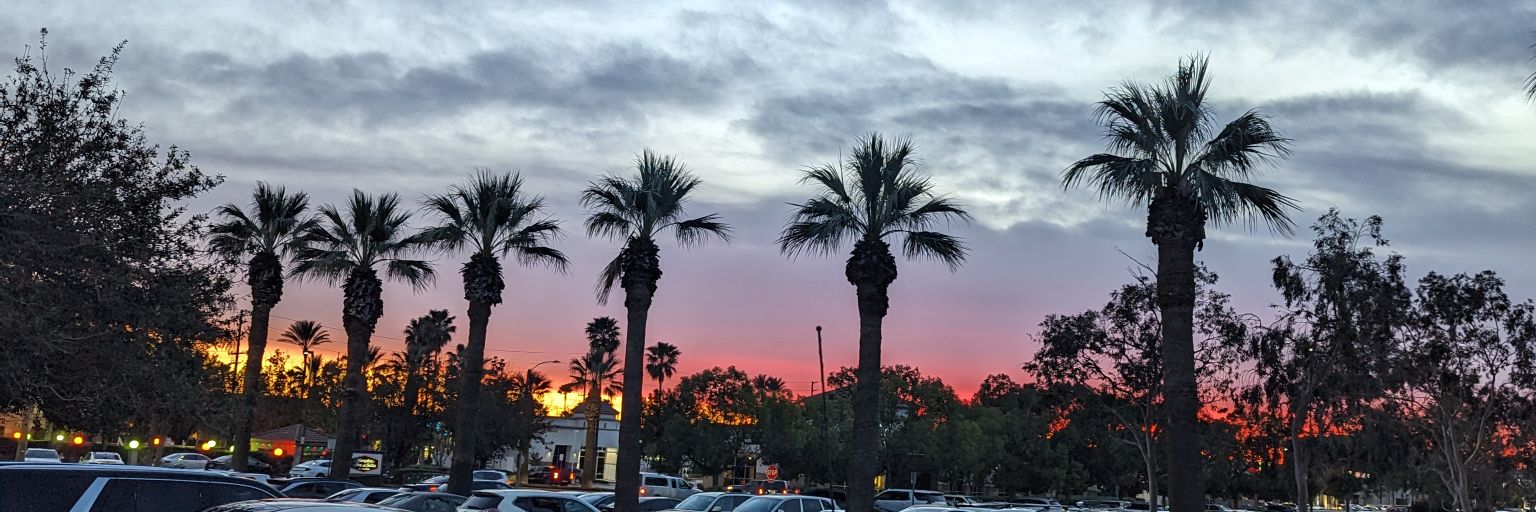 Kaytee's banner