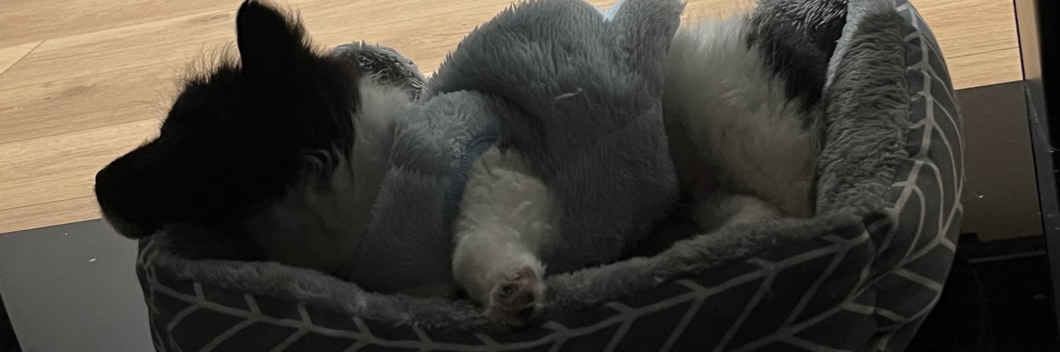 付讫我心长青's banner