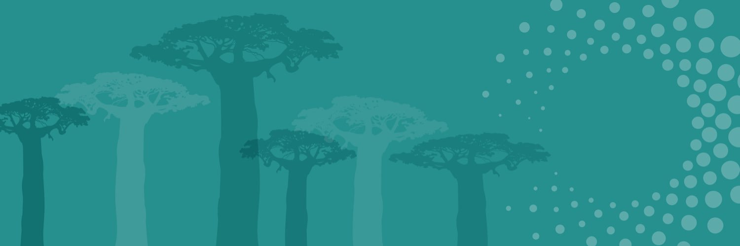 Coalition for Digital Africa's banner