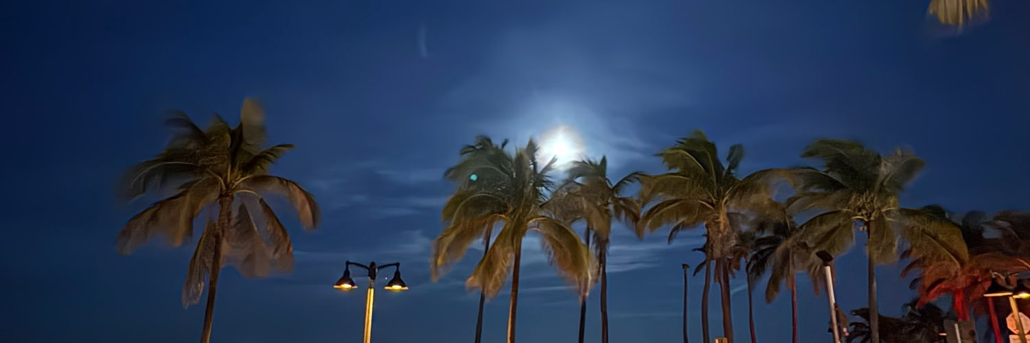 Chris Nelson 🏝️🇺🇸's banner