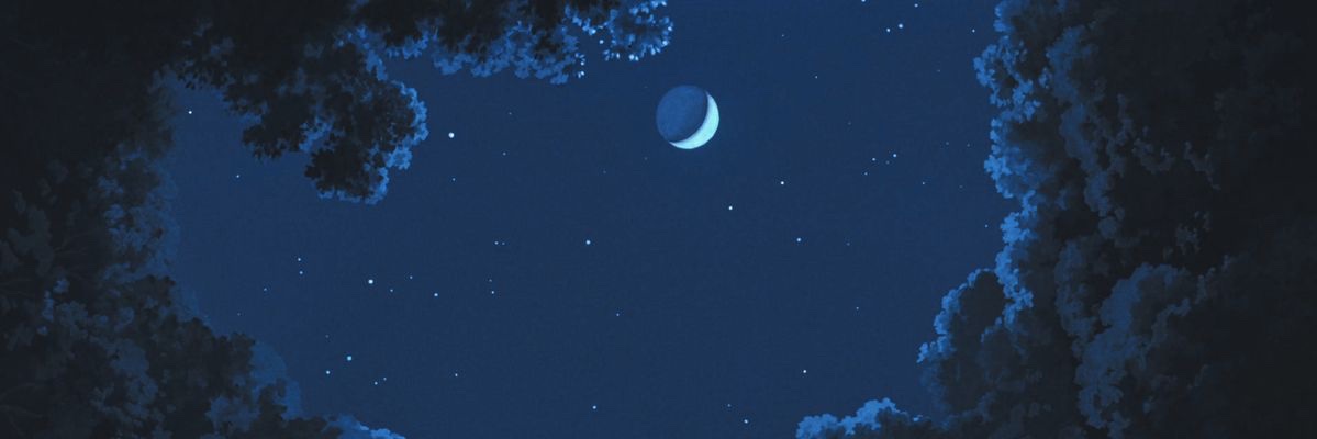 lils's banner