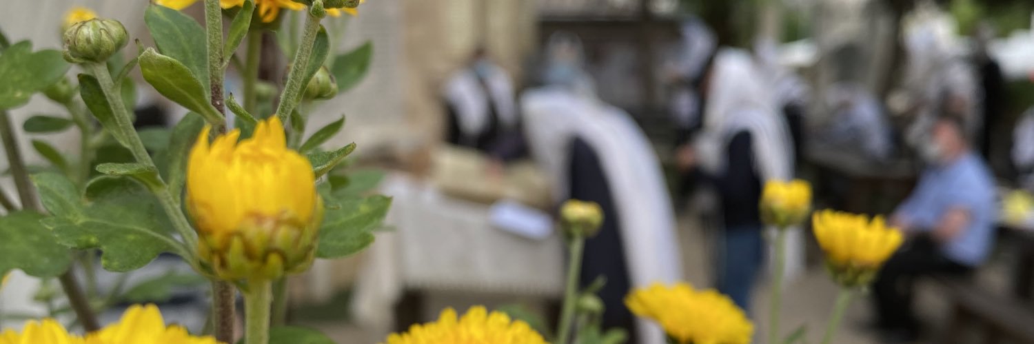 עופר חדד Ofer Hadad's banner