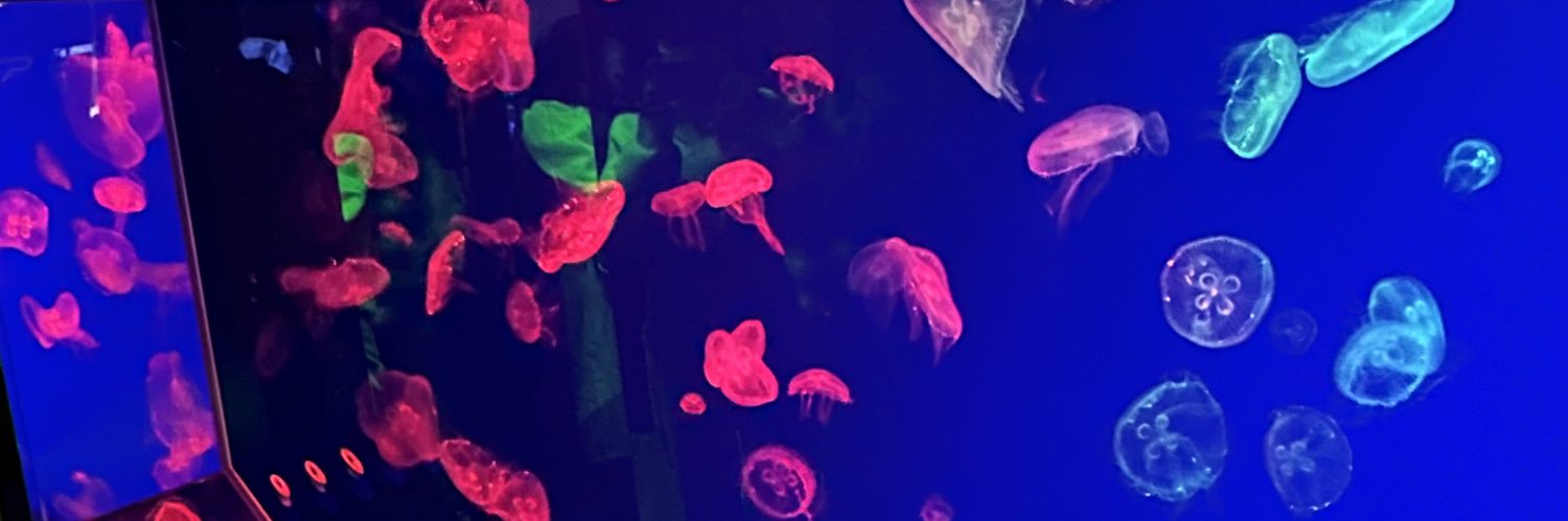 みなみ's banner