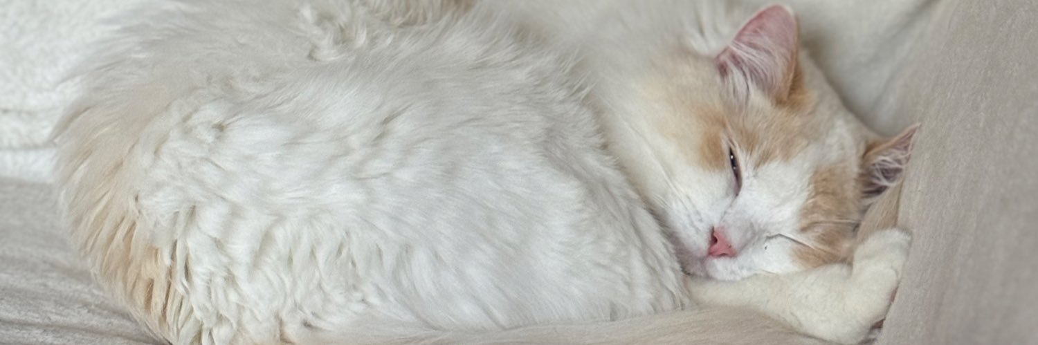 Anna 💗 ONLYFANS's banner