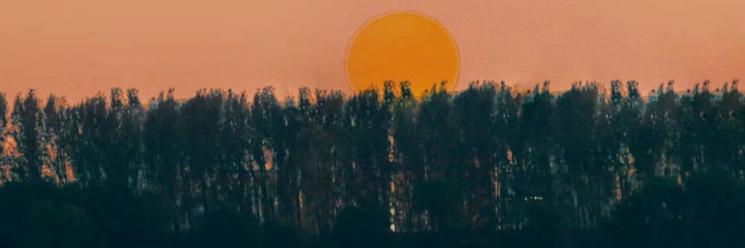 你的学妹's banner