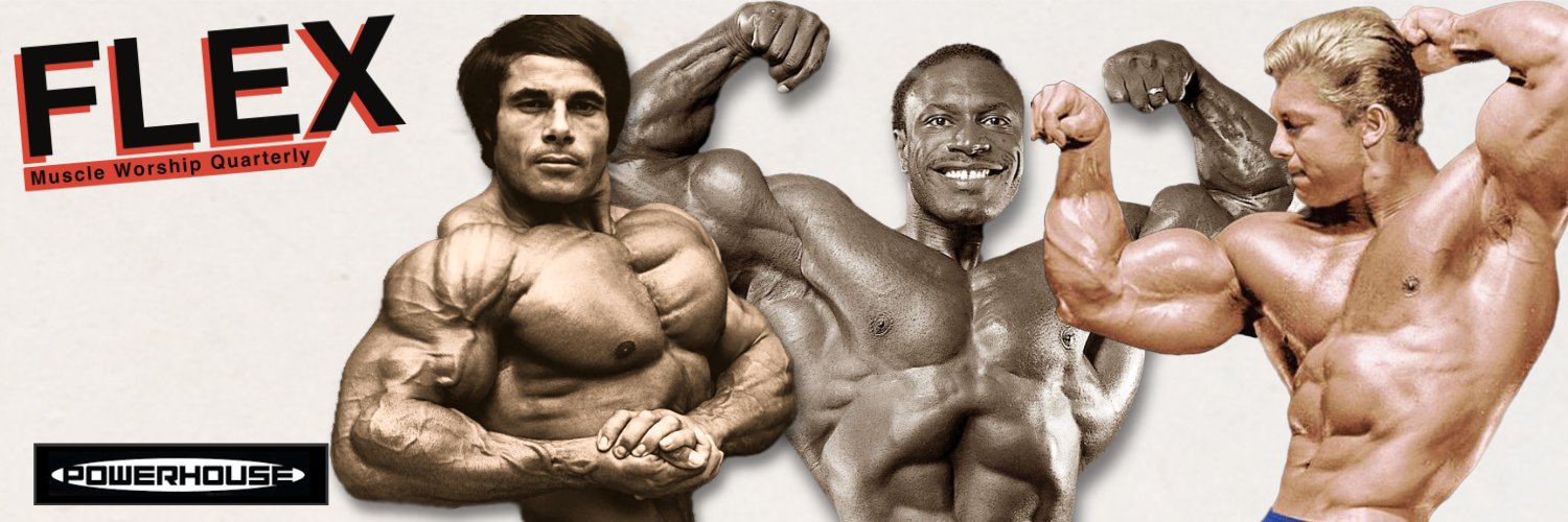 Flex Party's banner