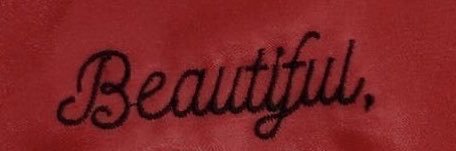 emmie ⁷⊹. ♡'s dr. lecter's banner