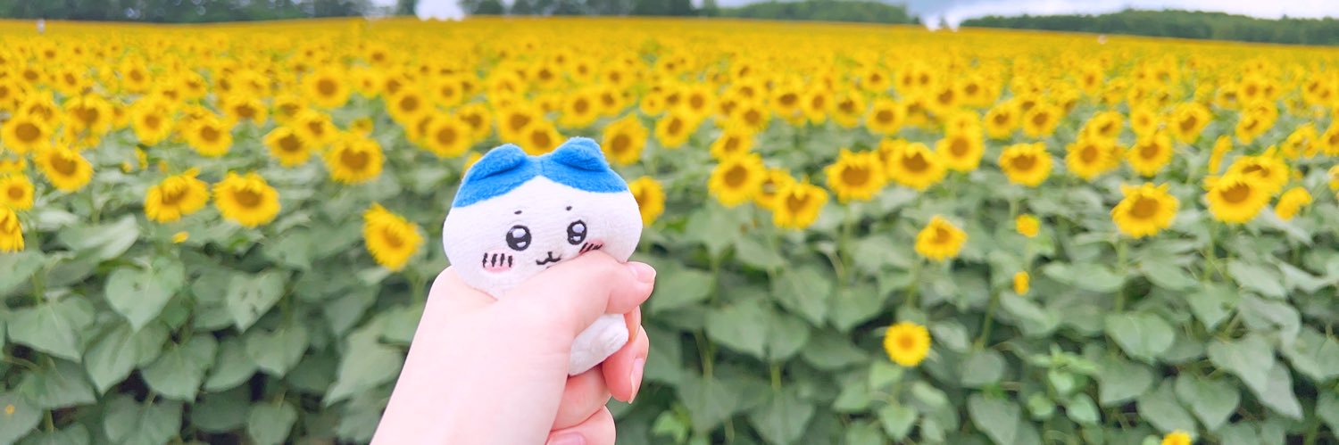 ろるやりたいんだよね's banner