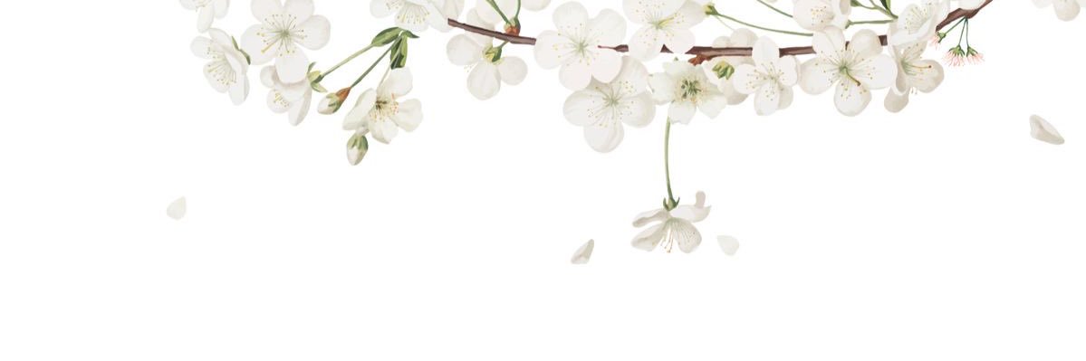 kai / cap ▴'s banner