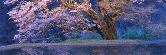 ｪﾁｪﾁな仕事辞めた僕's banner