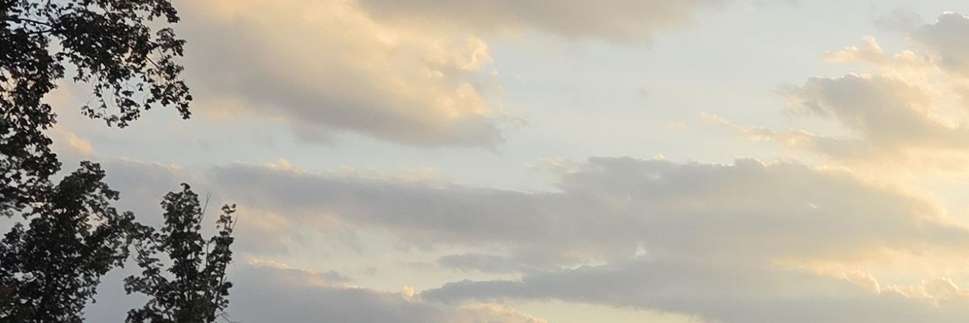 sorfb4kk🆖's banner