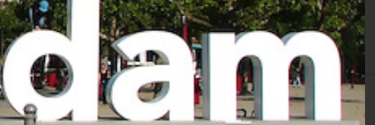 Sandra van Dam's banner
