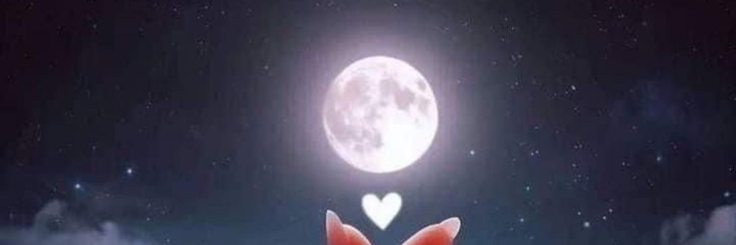 چکور 🪶's banner