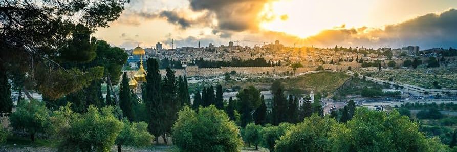 🇵🇸🇵🇸🇵🇸𐤀𐤊𐤉𐤔's banner