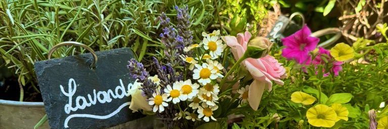 Fragrance Aesthetics's banner