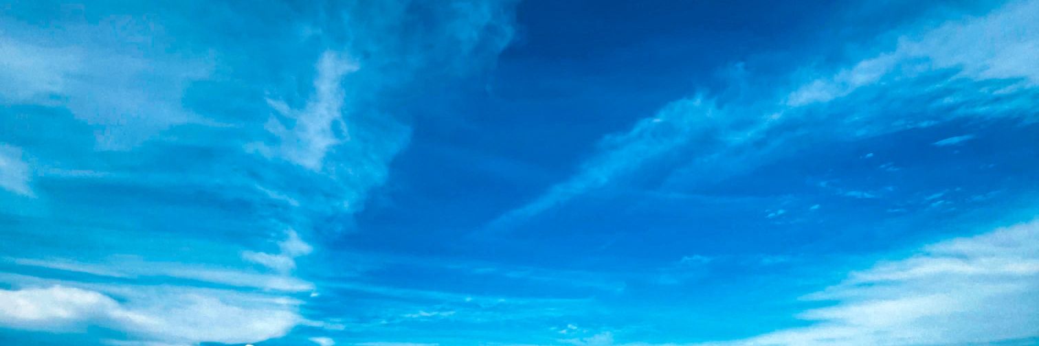 Panda Bear 🐼 (8K)'s banner