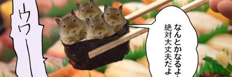 ウニ♀'s banner