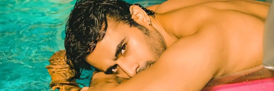 pearlvpuri group senter's banner