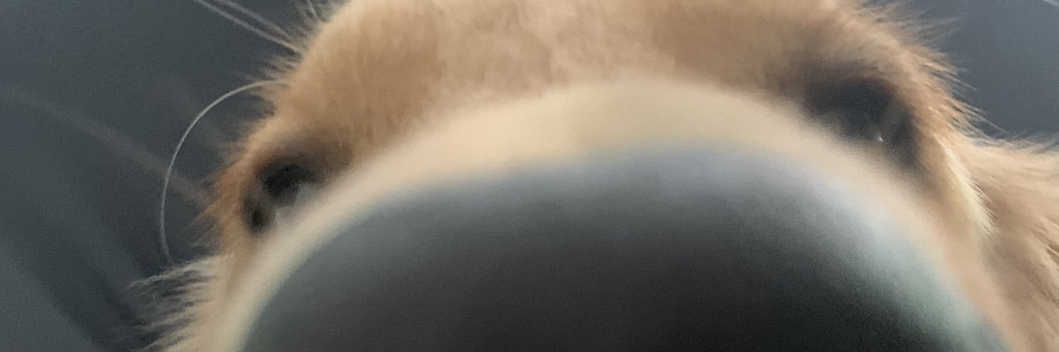 ccheewyy's banner