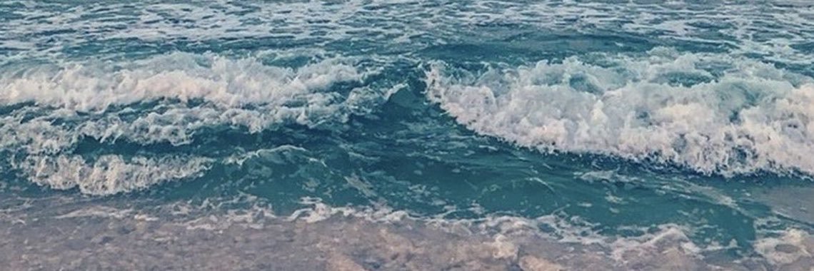 red 𓆝 𓆟 𓆞's banner