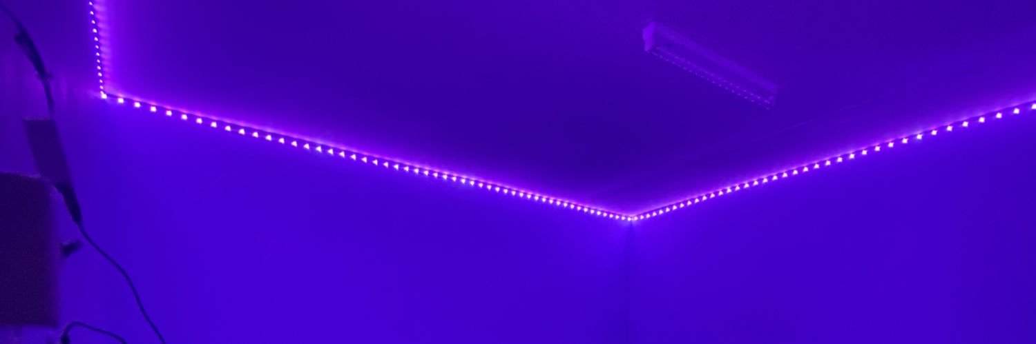HABIBI's banner