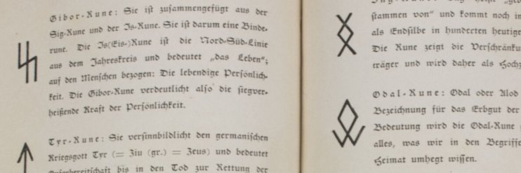 Völkisch Spirit ᚾ's banner