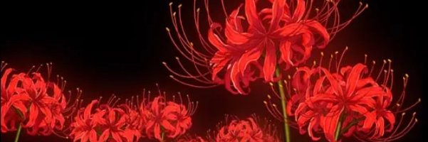 emroonz's banner