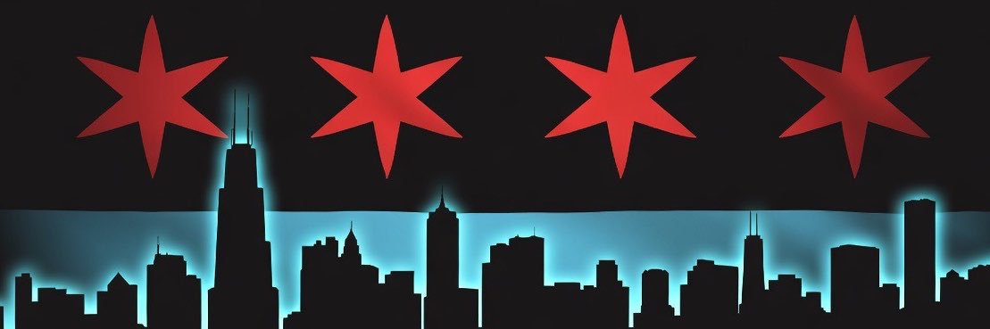 Libs Of Chicago's banner