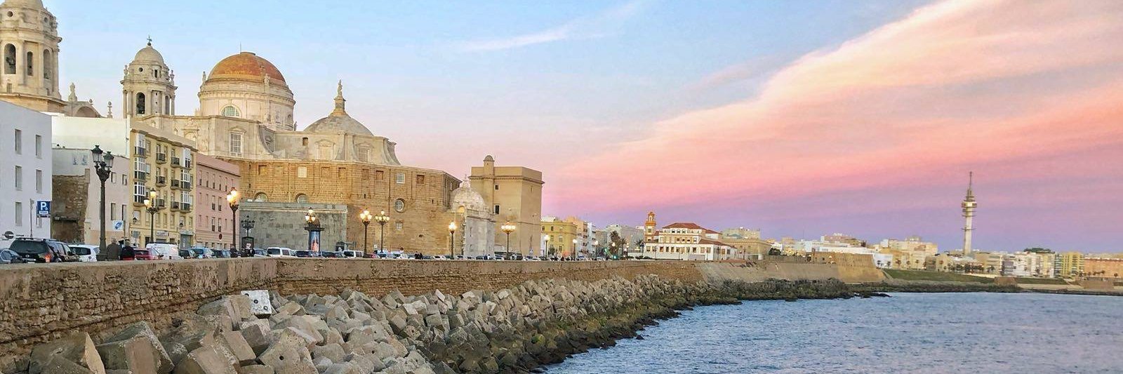 Viva Cádiz's banner