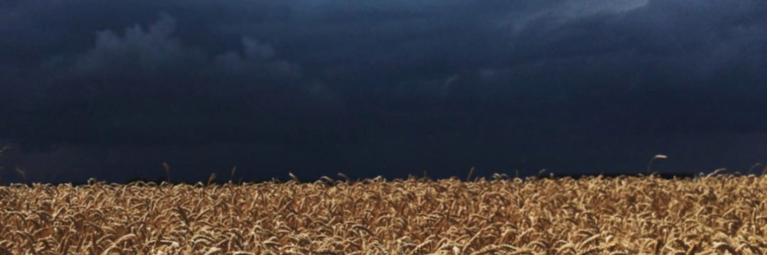 oldeuropeanculture's banner