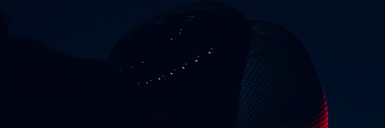 -Mistress Sylvia-'s banner