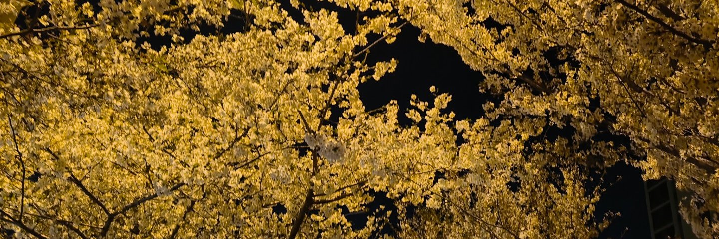 语辞's banner