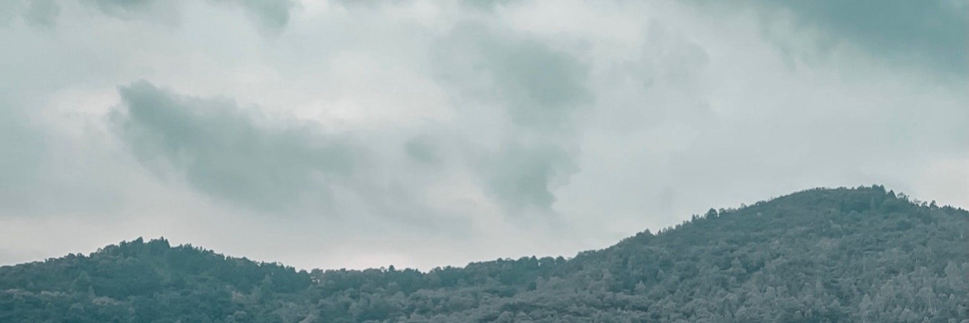 Lil Quyên's banner
